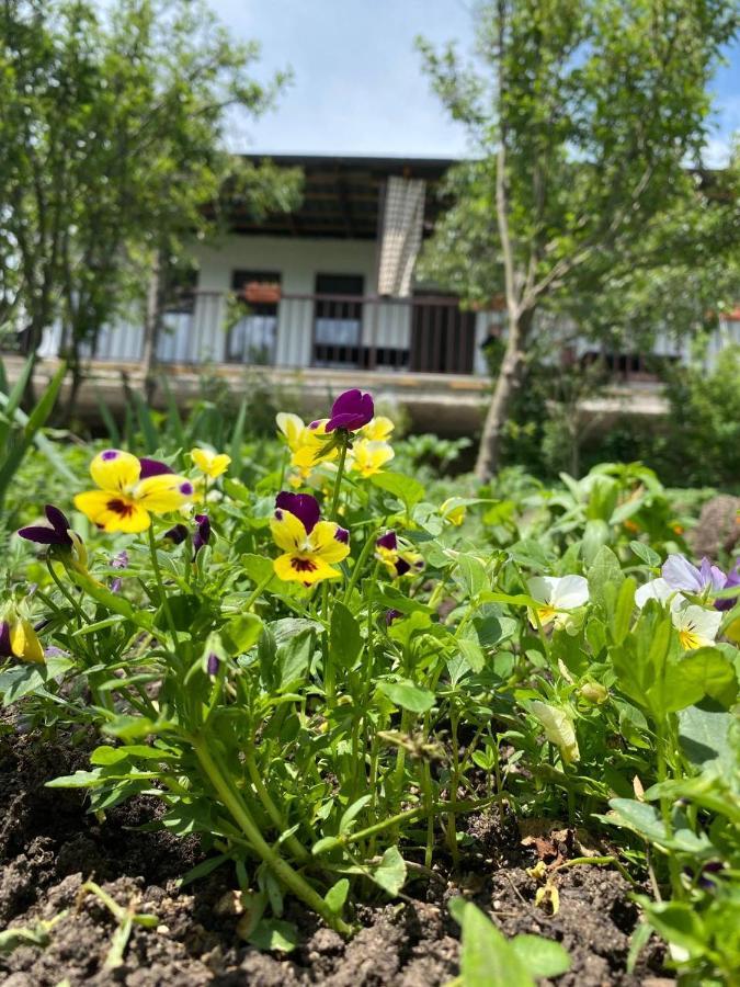 Green Agarak Guest House near Dendropark, Stepanavan Gyulagarak Buitenkant foto